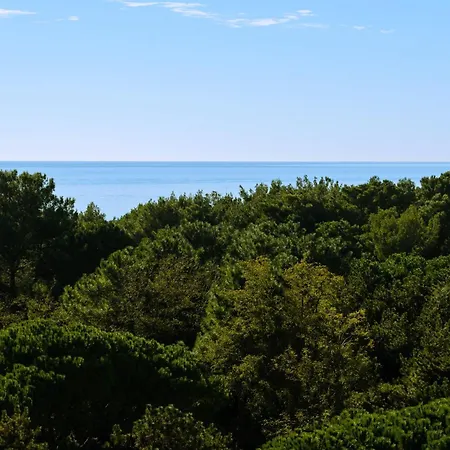 شقة Bright Top-floor With Sea View